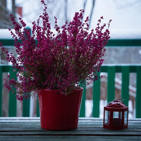 Retro - Charming Rooms, Sauna And Jacuzzi * Veikkola